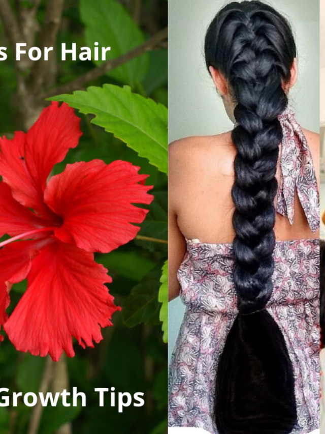 Hibiscus For Hair Growth Review