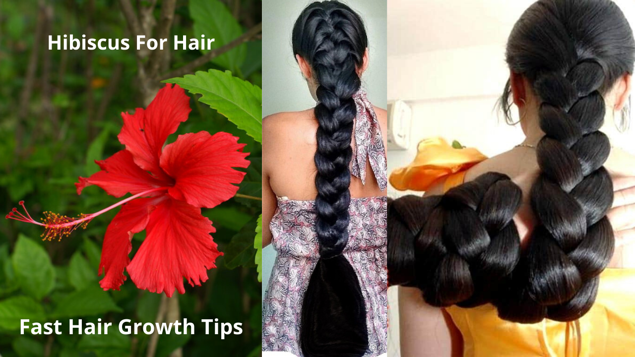 Hibiscus For Hair  Growth Benefits Uses Side Effects