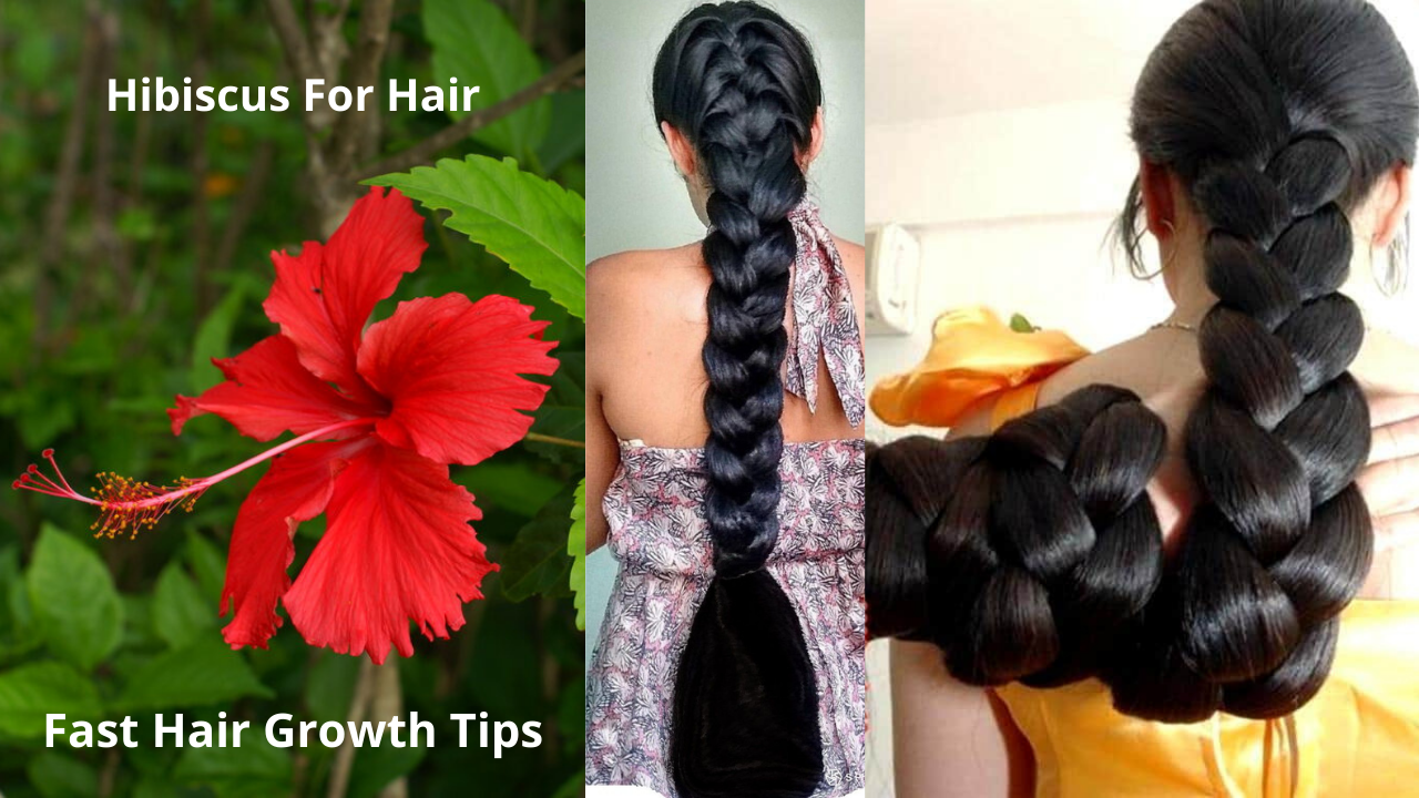 Hibiscus For Hair Growth Review How To Use Hibiscus For Hair