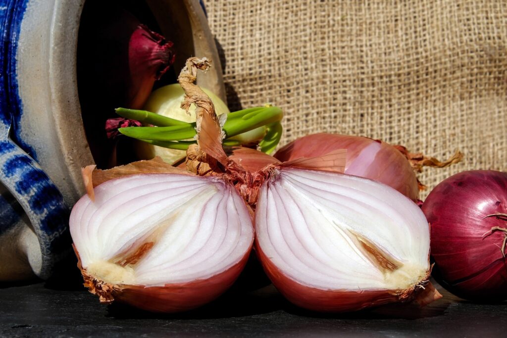 Can Onion Oil Grow Hair? | Is Onion Oil Good For Gray Hair? -