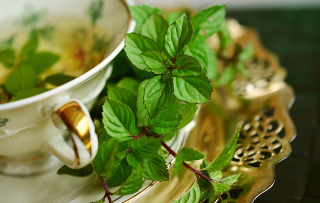 Top 5 Ways To Use Mint Leaves For Hair - Bright Cures