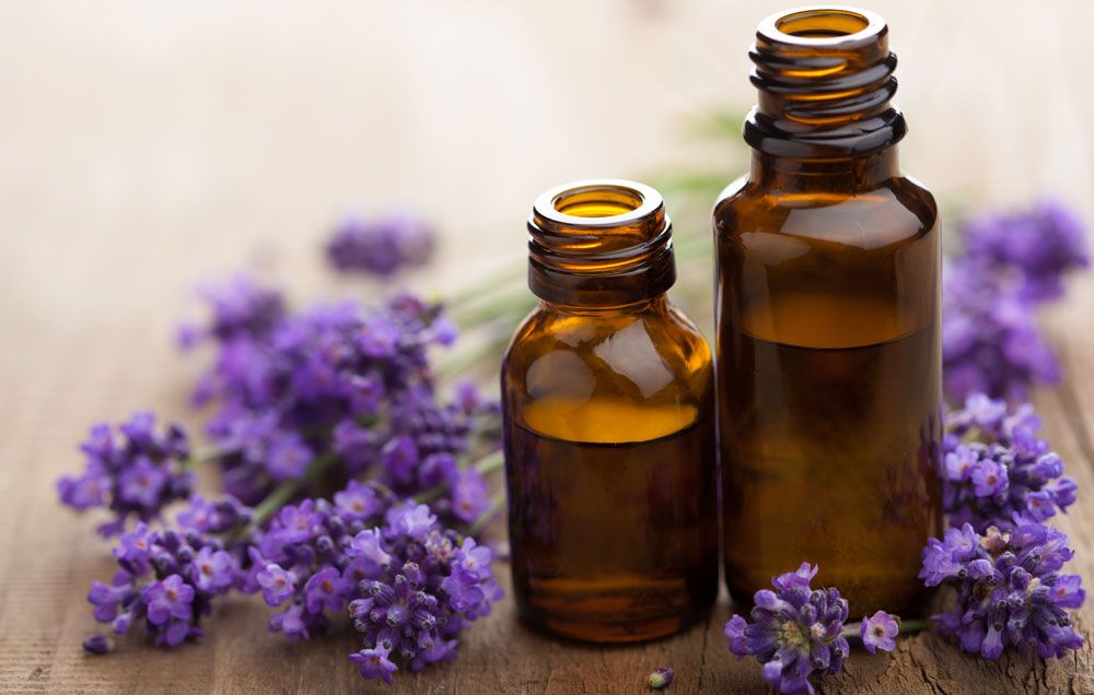 lavender essential oil bright cures
