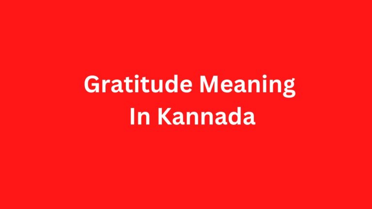 The Kannada Meaning Of Gratitude